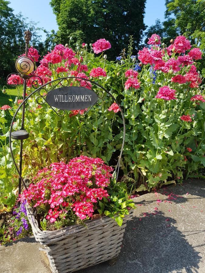 Villa Wiese Katzow Eksteriør billede